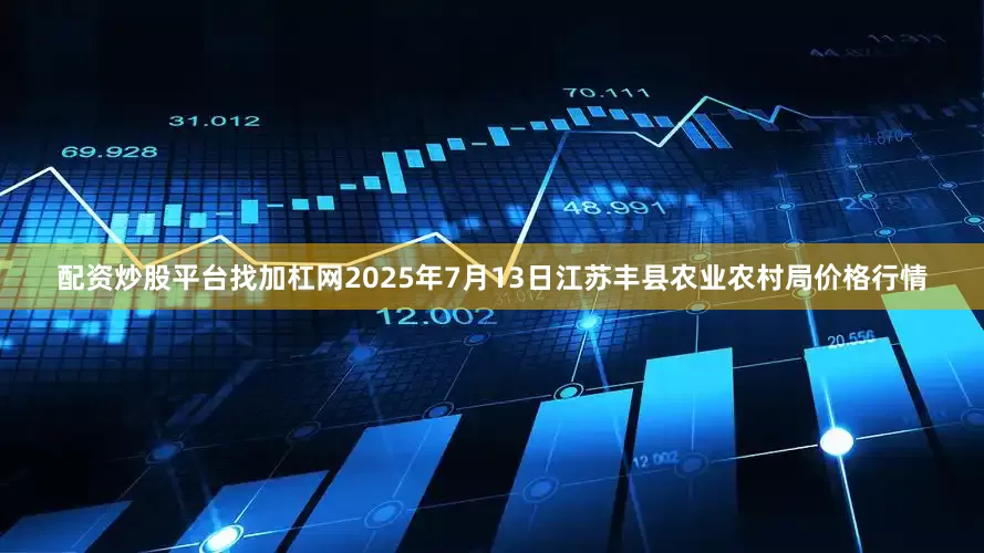 配资炒股平台找加杠网2025年7月13日江苏丰县农业农村局价格行情