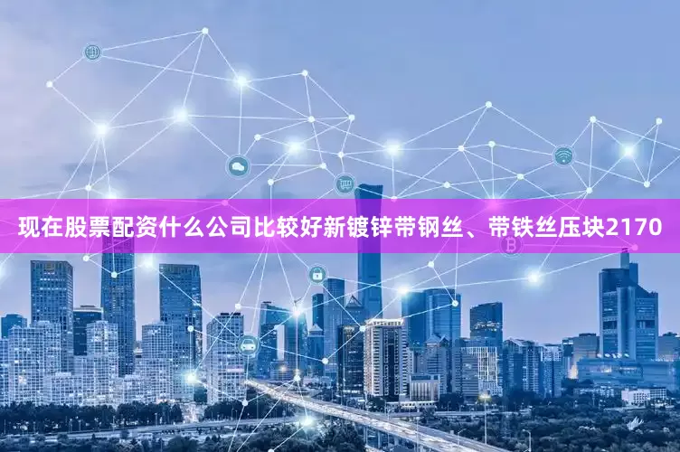 现在股票配资什么公司比较好新镀锌带钢丝、带铁丝压块2170