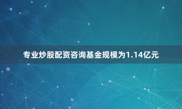 专业炒股配资咨询基金规模为1.14亿元