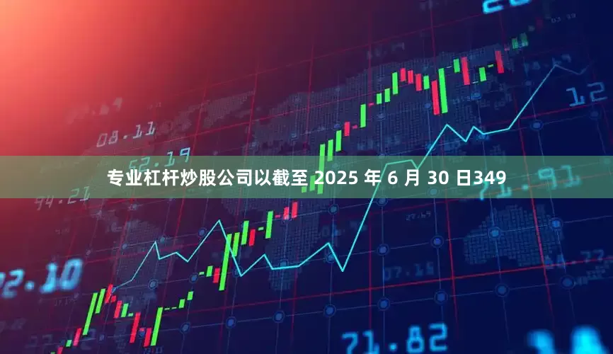 专业杠杆炒股公司以截至 2025 年 6 月 30 日349