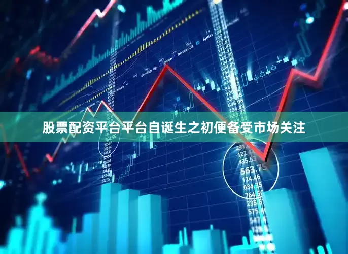 股票配资平台平台自诞生之初便备受市场关注